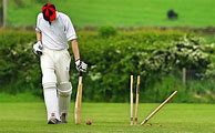 Image result for Funeral Readings with Cricket Quotes