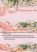Image result for Panubong