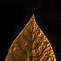 Image result for Gold and Black Leaves Wallpaper