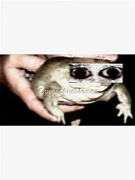 Image result for Cursed Frog Memes