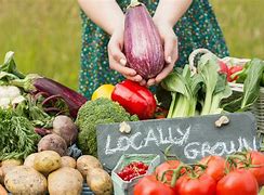 Image result for Local Farmers