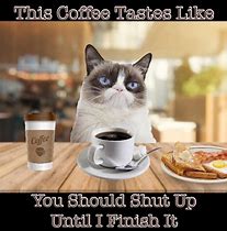 Image result for Coffee Meme Animals