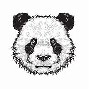 Image result for pandas head vectors