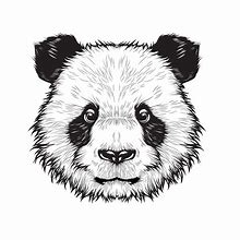 Image result for Draw Cartoon Panda Cute Head