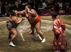 Image result for Japan Sports Sumo