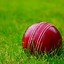 Image result for Abstract Cricket Wallpaper