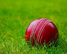 Image result for SL Cricket Cover Images