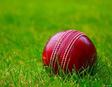 Image result for Cool Cricket Wallpapers