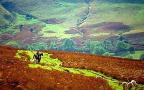 Image result for Powys Wales