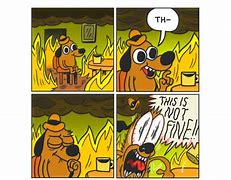 Image result for This Is Not Fine Dog Meme