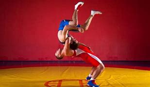 Image result for Wrestling Strength and Conditioning Template