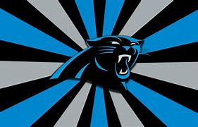 Image result for Panther Colors