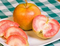 Image result for Pink Apple Tewmplet