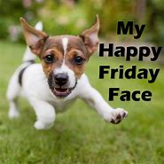 Image result for Happy Friday Funny Dog Meme