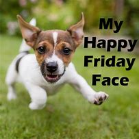 Image result for Happy Friday Meme Cute Funny