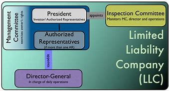 Image result for Limited Liability Companies