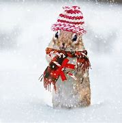 Image result for Cute Winter Walllpaper Desktop