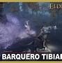 Image result for abarquer9