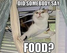 Image result for Food Meme Animals