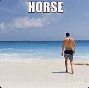 Image result for Man Meme Horse Beach
