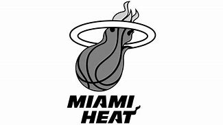 Image result for Miami Heat Logo History