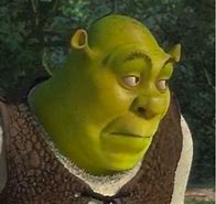 Image result for Shrek Meme Expression
