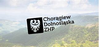 Image result for chorągiew_dolnośląska_zhp