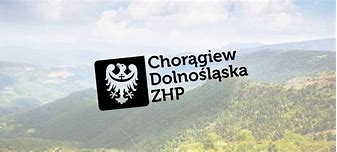 Image result for chorągiew_dolnośląska_zhp