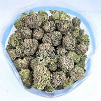 Image result for Blueberry OG Kush