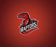 Image result for Raptors Team