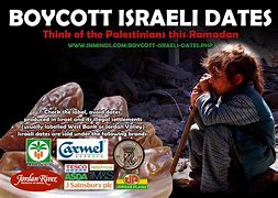 Image result for Bycoat Israel