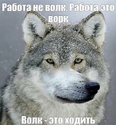 Image result for Lone Wolf On Tree Meme