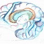 Image result for Universe Brain Art