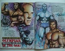 Image result for Arnold Schwarzenegger Bodybuilding Back