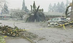 Image result for Portland Oregon Winter Storm