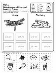 Image result for Free Kindergarten Science Worksheets