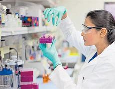 Image result for Doctor in Lab Images Indian