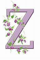 Image result for Initial Z