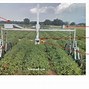 Image result for 2 Meters Canopy