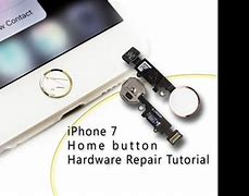 Image result for iphone 7 touch id buttons