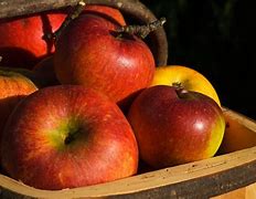 Image result for Apple Flavor Chart