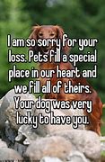 Image result for Sorry About Your Dog