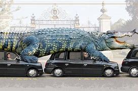 Image result for 20 Foot Crocodile