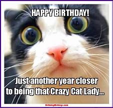 Image result for Dog and Cat Birthday Meme