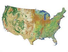 Image result for America Land