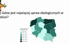 Image result for czynniki_ekologiczne