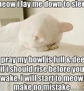 Image result for Cat Meme Prayer
