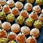 Image result for Luxury Canapes