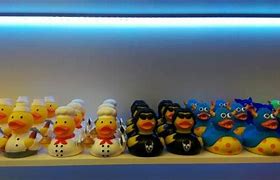 Image result for Barcelona Duck Store