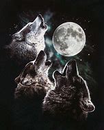 Image result for Three Wolf Moon